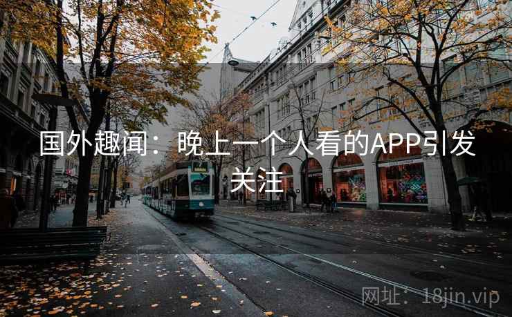 国外趣闻：晚上一个人看的APP引发关注  第1张