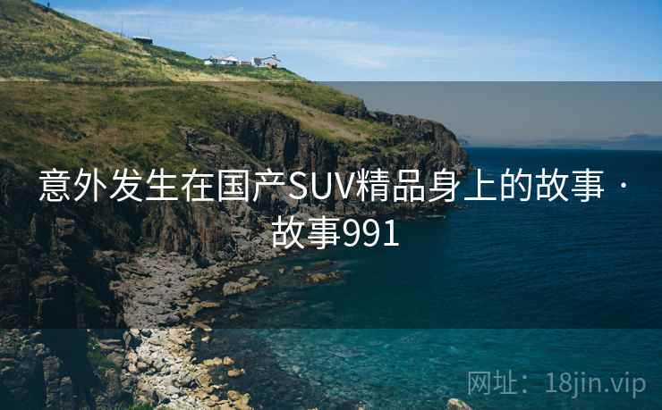 意外发生在国产SUV精品身上的故事 · 故事991  第2张